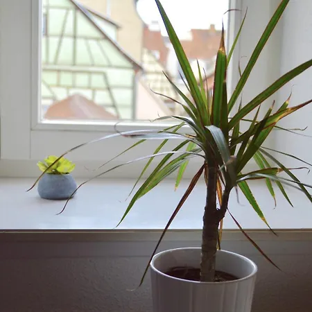 Bretzel & Raisin - Centre De * コルマール